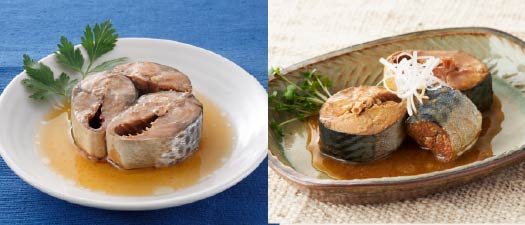 訳アリ】 サラダサバまろやか醤油味・こくうま味噌味 |【公式】木の屋